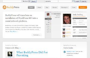 buddypress-1902250